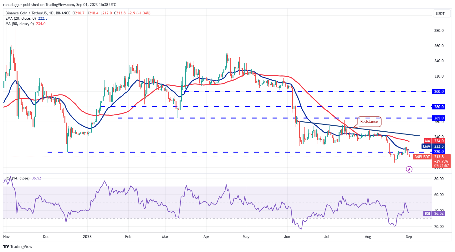 PayTM銀行將向您提供14.5%的利率。